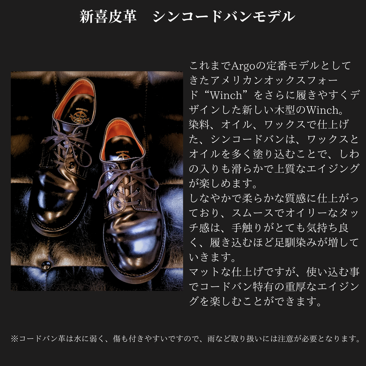 OXFORD SHOES WINCH "Cordovan" Cap Toe
