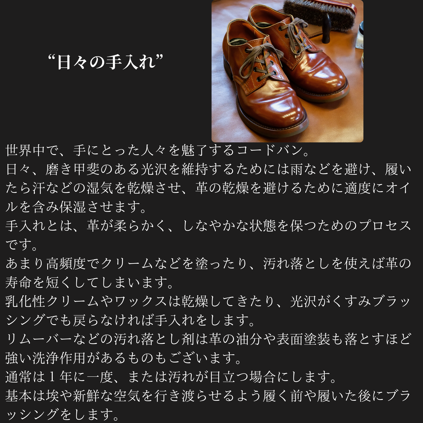 OXFORD SHOES WINCH "Cordovan" Cap Toe