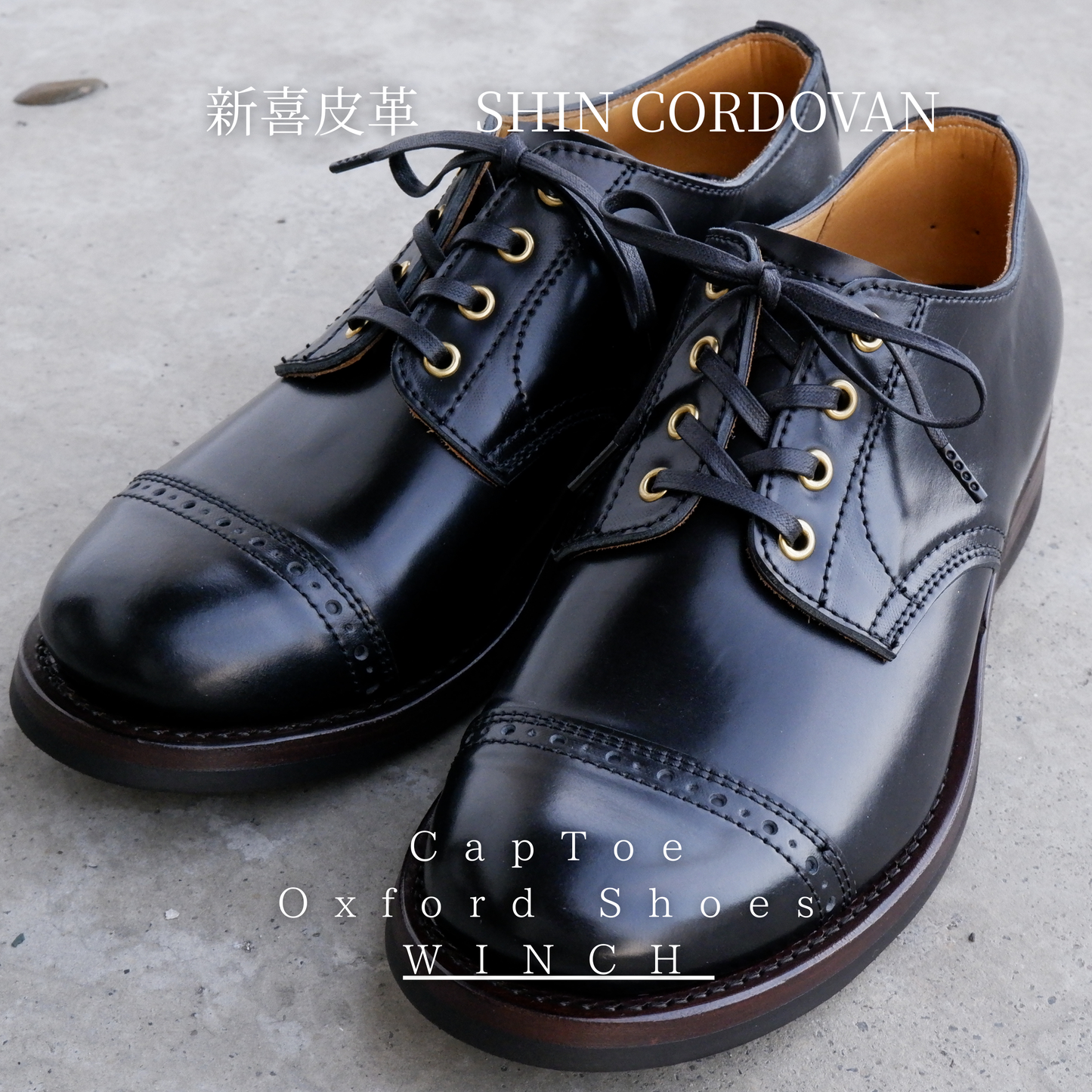 OXFORD SHOES WINCH "Cordovan" Cap Toe